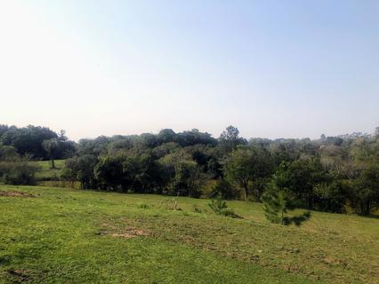 Image 6 - 271502