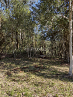 Image 1 - 272491