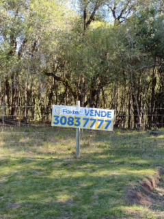 Image 13 - 272491