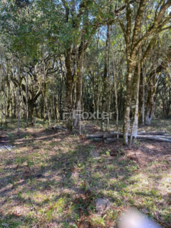 Image 17 - 272491