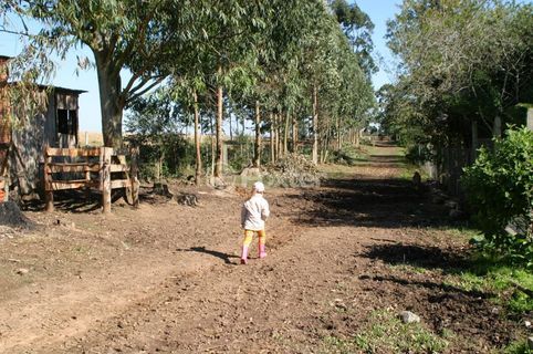 Image 25 - 272634