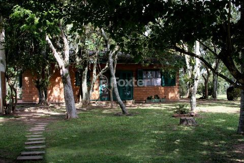 Image 40 - 272634
