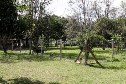 Image 30 - 272634