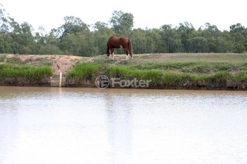 Image 28 - 272634