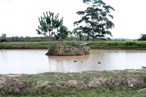 Image 39 - 272634