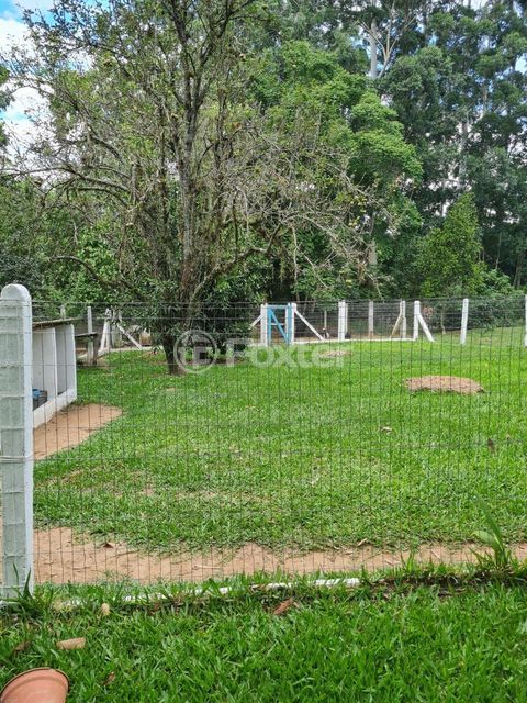 Image 31 - 272634