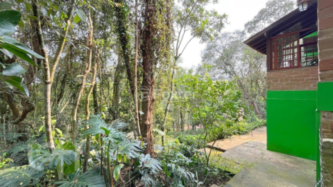 Image 43 - 272725