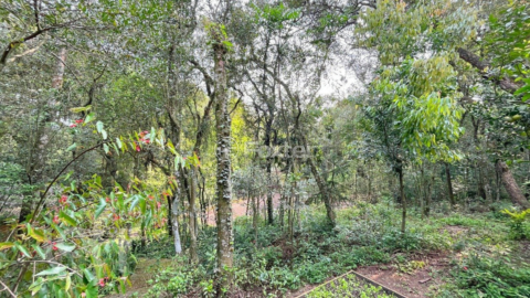 Image 46 - 272725