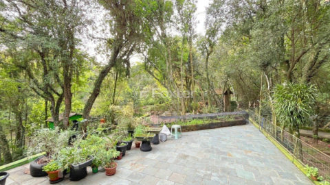 Image 39 - 272725