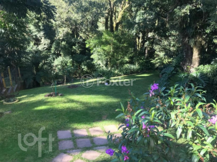 Image 27 - 272904