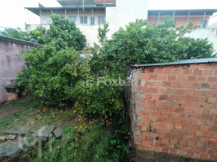 Image 9 - 273031