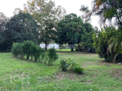 Image 25 - 273181