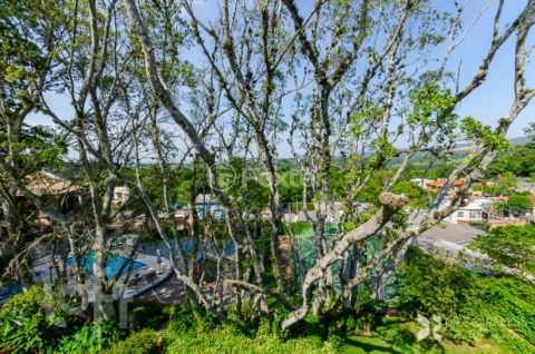 Image 6 - 274202