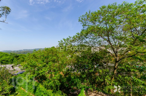 Image 42 - 274202
