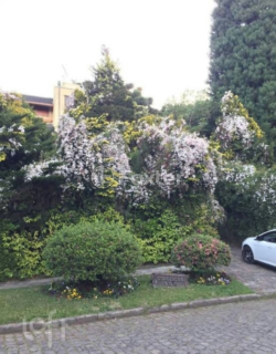 Image 42 - 274891