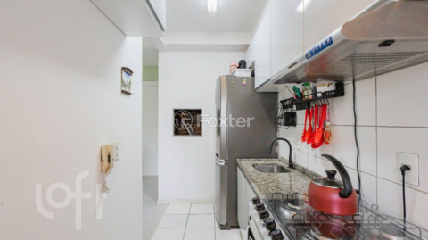 Image 8 - 275667