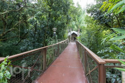 Image 15 - 276331