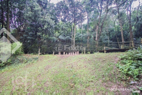 Image 16 - 276913