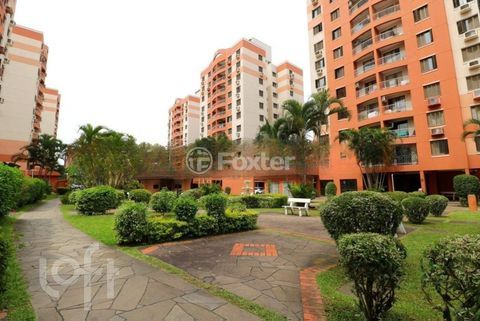 Image 31 - 277349