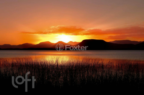Image 33 - 277639