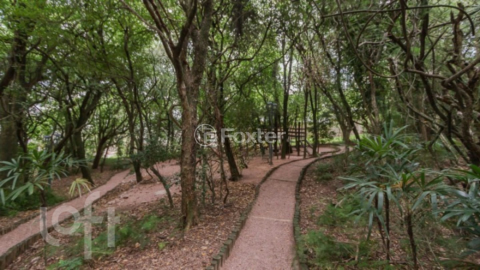 Image 62 - 278768