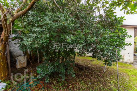 Image 31 - 279062