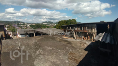 Image 17 - 279235