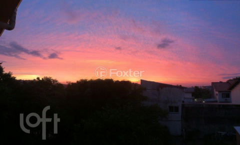 Image 6 - 279716