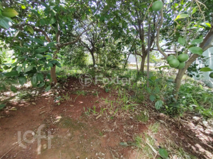Image 32 - 282096