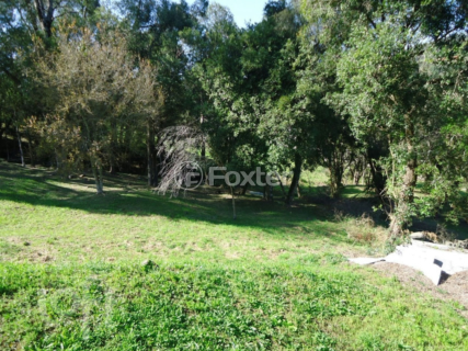 Image 6 - 282316