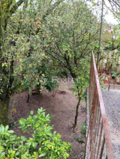 Image 23 - 282592