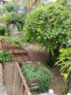 Image 24 - 282592