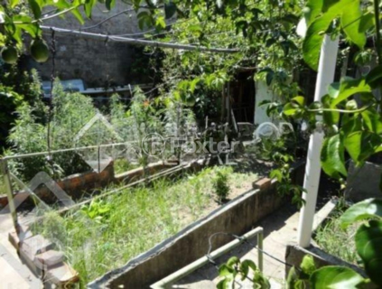 Image 13 - 282765