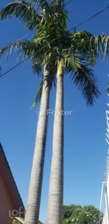 Image 33 - 283763