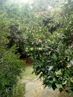 Image 32 - 284088