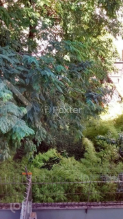 Image 8 - 284343