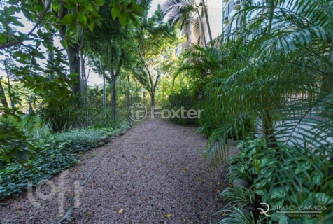 Image 85 - 285044