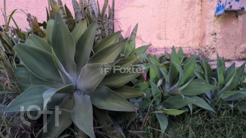 Image 66 - 285125