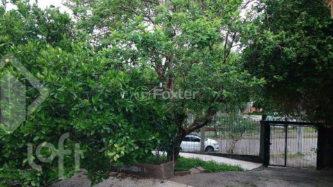 Image 11 - 285154