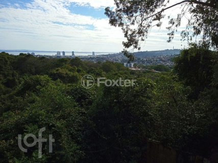 Image 3 - 286401