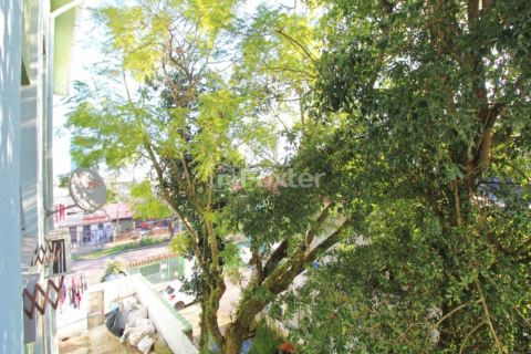 Image 8 - 286573