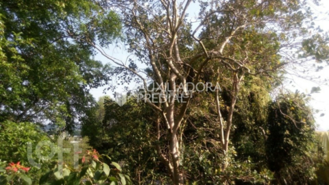 Image 25 - 286635