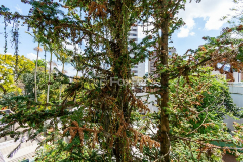 Image 15 - 286802