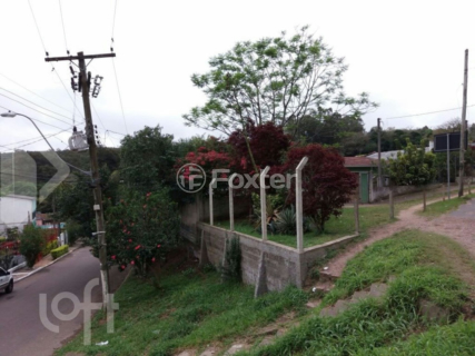 Image 9 - 286863