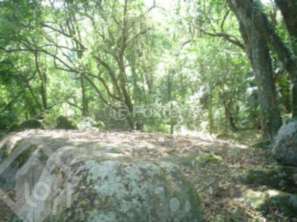 Image 11 - 287262