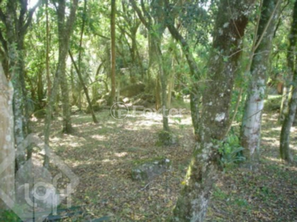 Image 12 - 287262