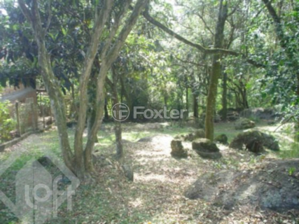 Image 10 - 287262
