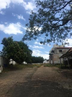Image 3 - 288238