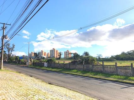 Image 7 - 288618