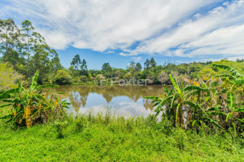 Image 57 - 288728